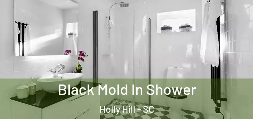 Black Mold In Shower Holly Hill - SC