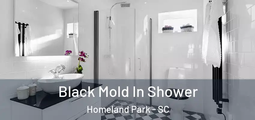 Black Mold In Shower Homeland Park - SC