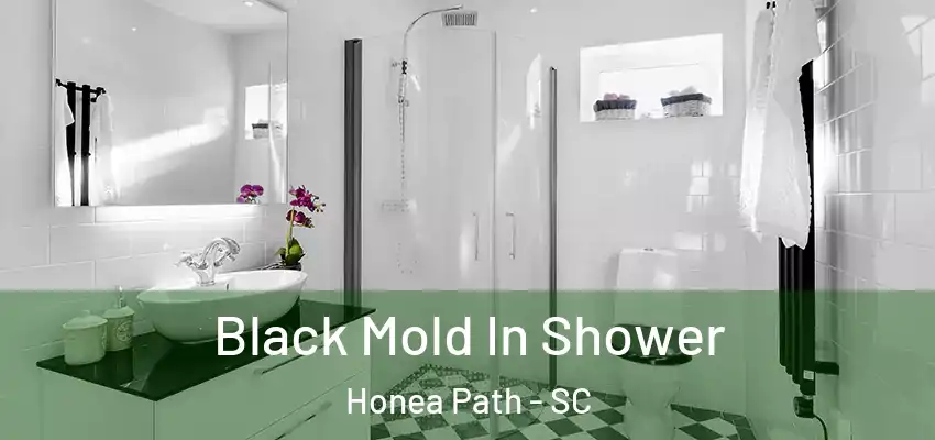  Black Mold In Shower Honea Path - SC