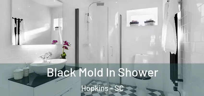 Black Mold In Shower Hopkins - SC