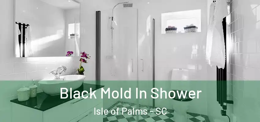  Black Mold In Shower Isle of Palms - SC