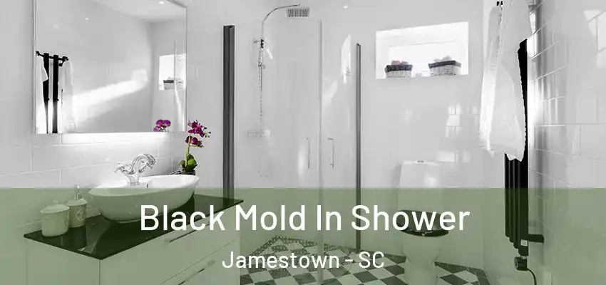 Black Mold In Shower Jamestown - SC
