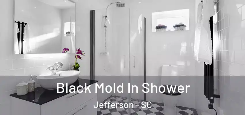  Black Mold In Shower Jefferson - SC