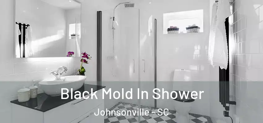  Black Mold In Shower Johnsonville - SC
