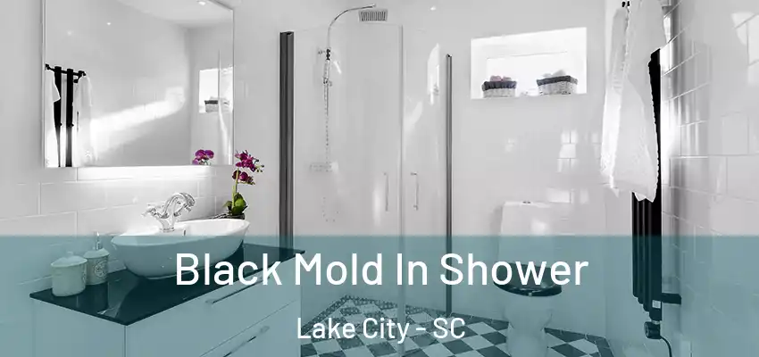 Black Mold In Shower Lake City - SC