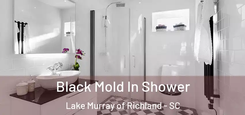 Black Mold In Shower Lake Murray of Richland - SC