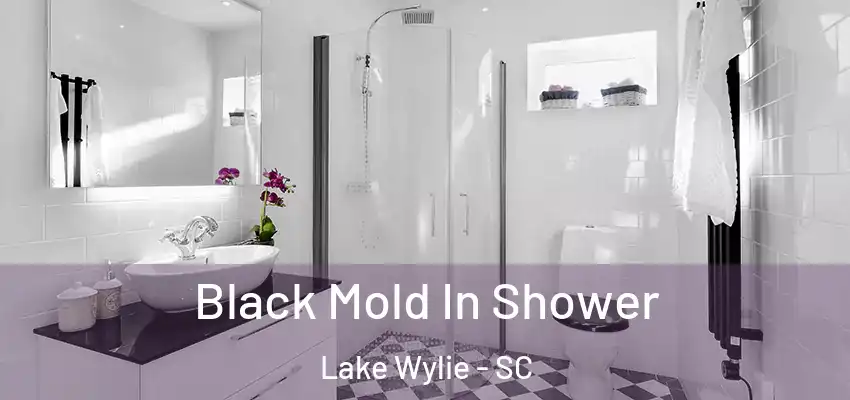  Black Mold In Shower Lake Wylie - SC
