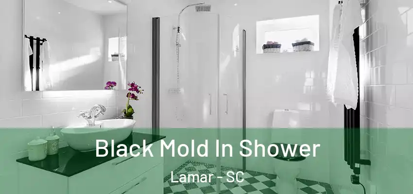 Black Mold In Shower Lamar - SC