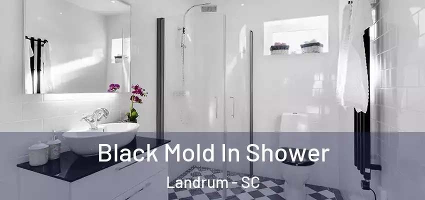 Black Mold In Shower Landrum - SC