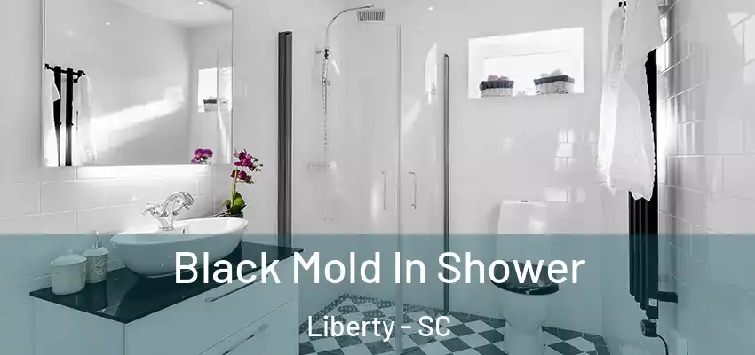  Black Mold In Shower Liberty - SC