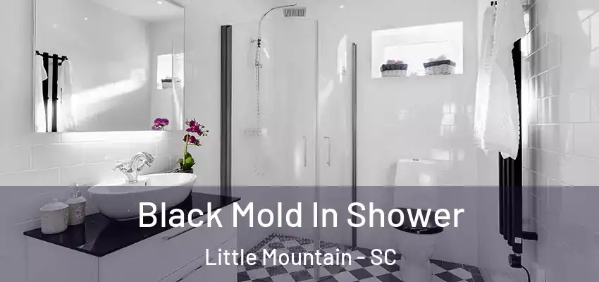 Black Mold In Shower Little Mountain - SC