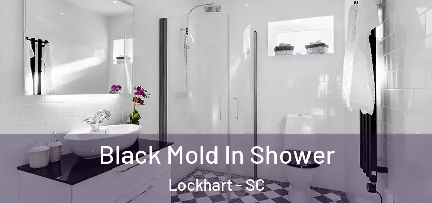 Black Mold In Shower Lockhart - SC