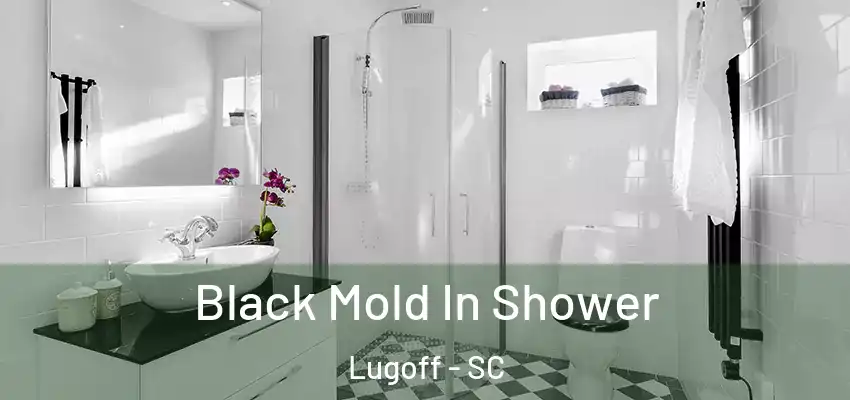  Black Mold In Shower Lugoff - SC