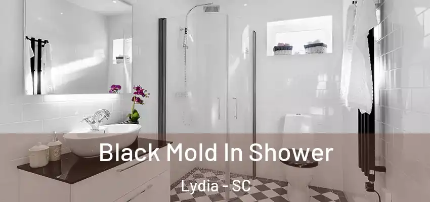 Black Mold In Shower Lydia - SC