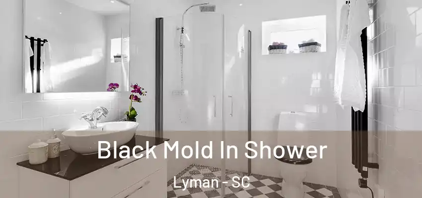 Black Mold In Shower Lyman - SC