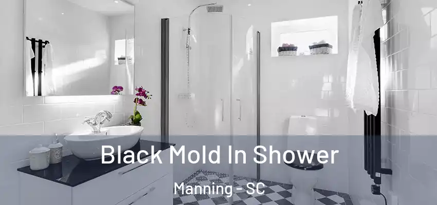  Black Mold In Shower Manning - SC
