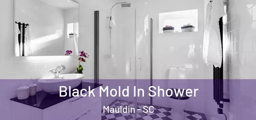  Black Mold In Shower Mauldin - SC