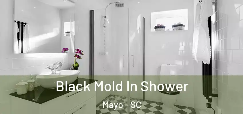  Black Mold In Shower Mayo - SC