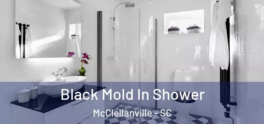Black Mold In Shower McClellanville - SC