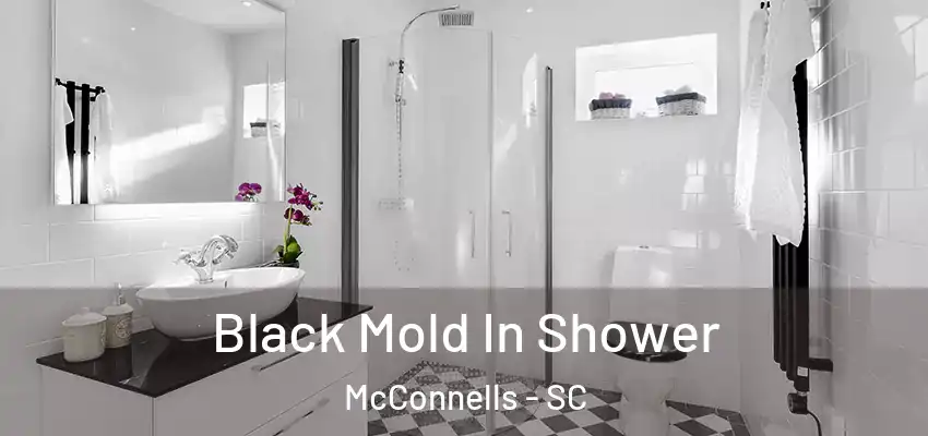  Black Mold In Shower McConnells - SC