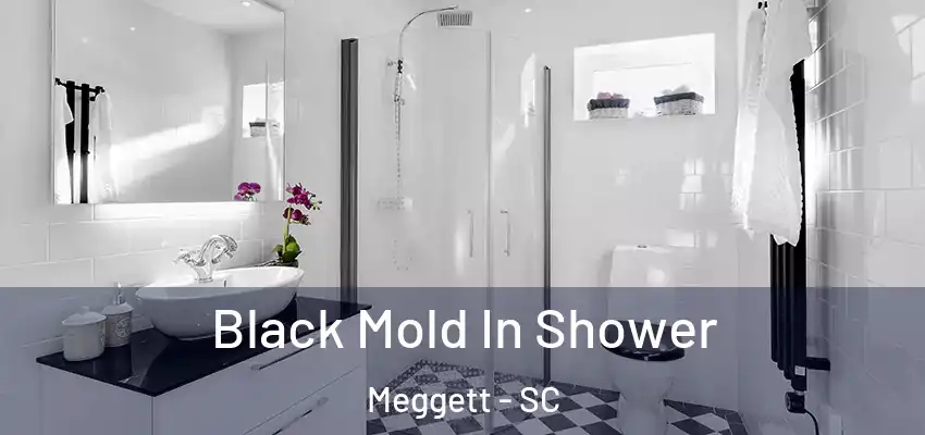  Black Mold In Shower Meggett - SC