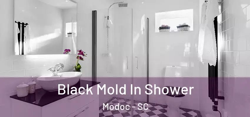  Black Mold In Shower Modoc - SC