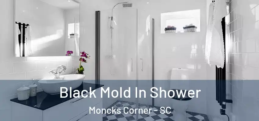  Black Mold In Shower Moncks Corner - SC