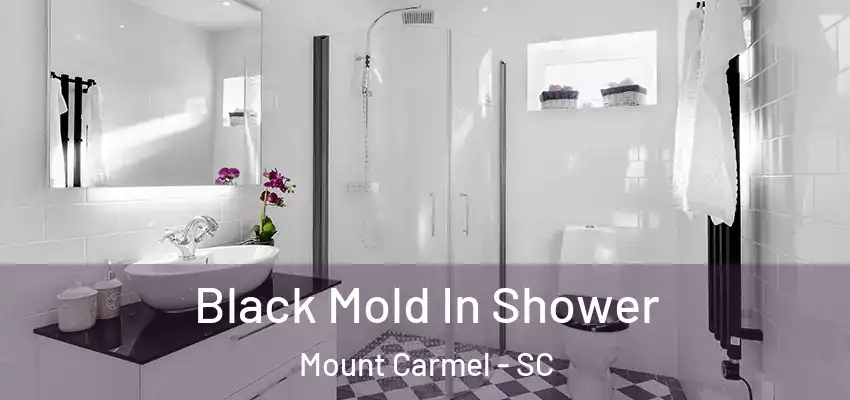  Black Mold In Shower Mount Carmel - SC