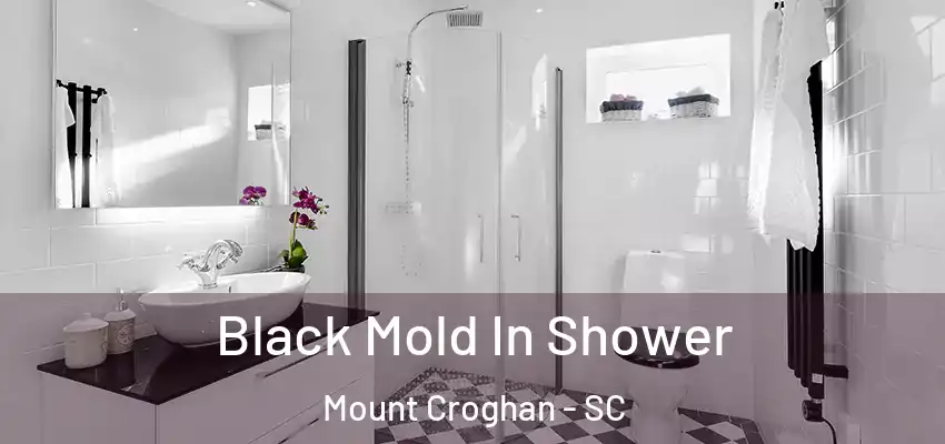  Black Mold In Shower Mount Croghan - SC