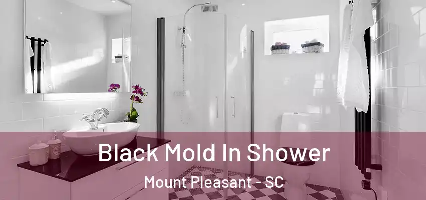 Black Mold In Shower Mount Pleasant - SC