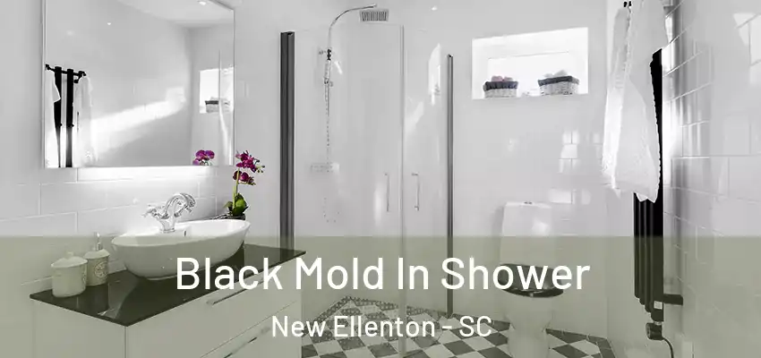  Black Mold In Shower New Ellenton - SC