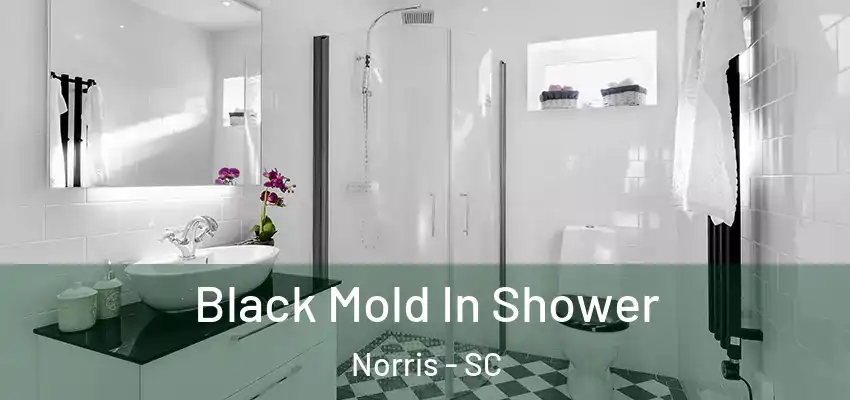  Black Mold In Shower Norris - SC
