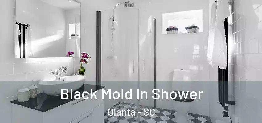 Black Mold In Shower Olanta - SC