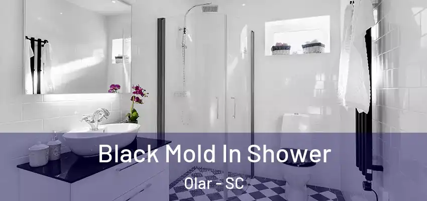  Black Mold In Shower Olar - SC