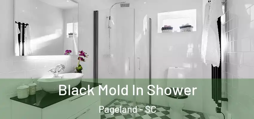 Black Mold In Shower Pageland - SC