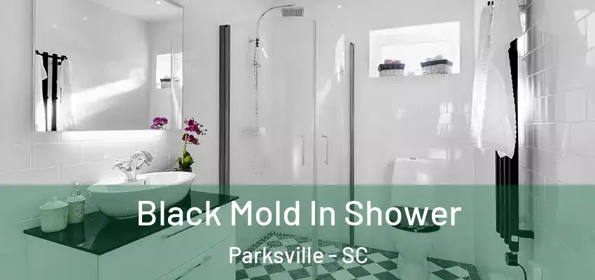 Black Mold In Shower Parksville - SC