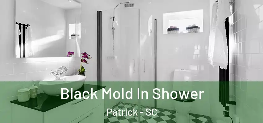  Black Mold In Shower Patrick - SC