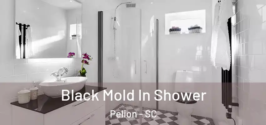 Black Mold In Shower Pelion - SC