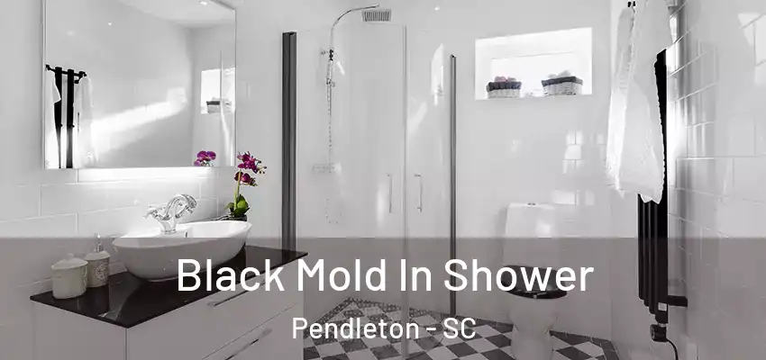  Black Mold In Shower Pendleton - SC