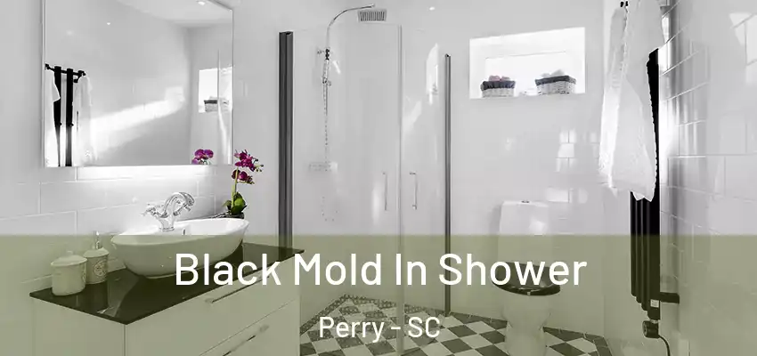  Black Mold In Shower Perry - SC