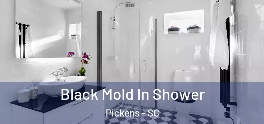  Black Mold In Shower Pickens - SC