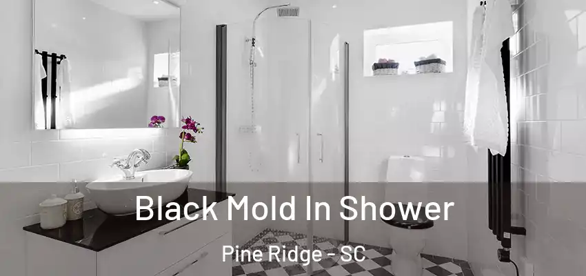  Black Mold In Shower Pine Ridge - SC