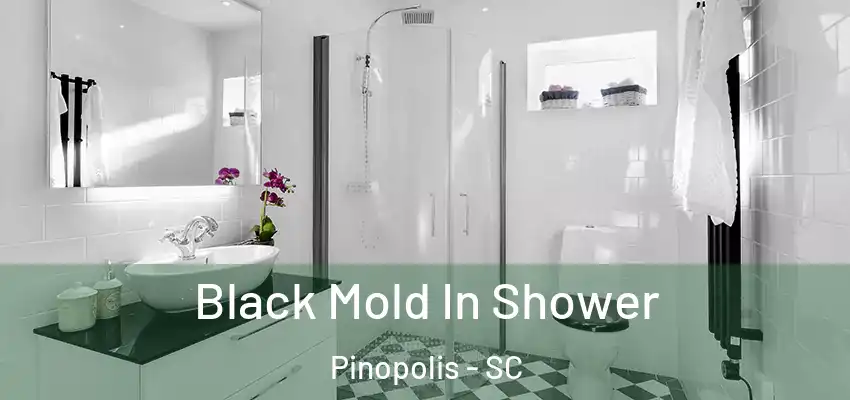  Black Mold In Shower Pinopolis - SC