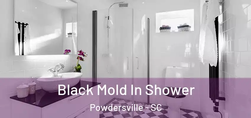 Black Mold In Shower Powdersville - SC