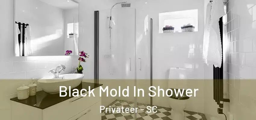  Black Mold In Shower Privateer - SC