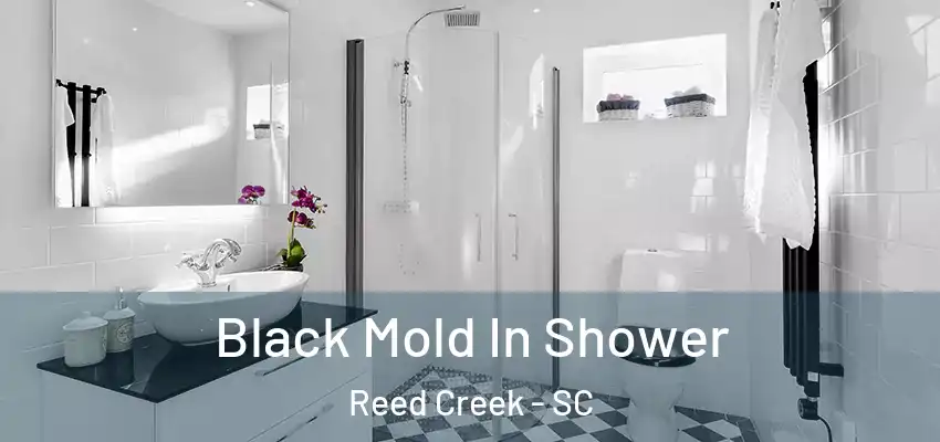 Black Mold In Shower Reed Creek - SC