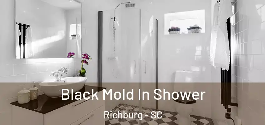  Black Mold In Shower Richburg - SC