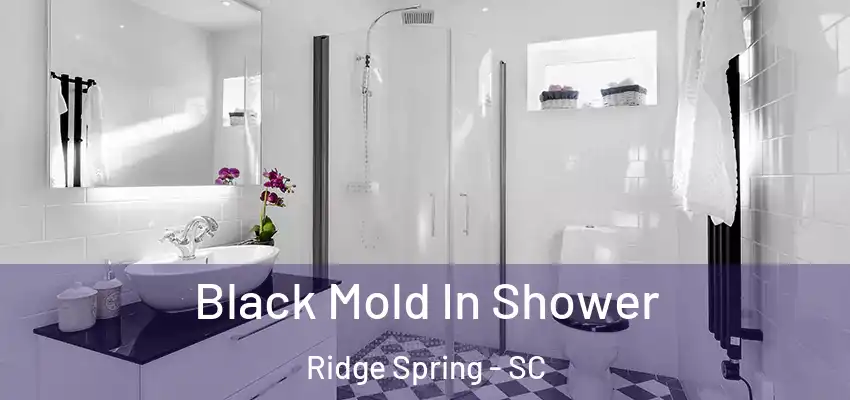 Black Mold In Shower Ridge Spring - SC