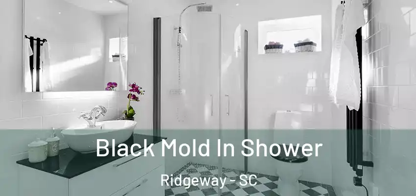  Black Mold In Shower Ridgeway - SC