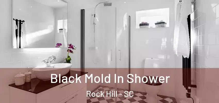  Black Mold In Shower Rock Hill - SC